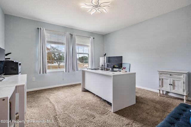 office space featuring a textured ceiling and carpet floors