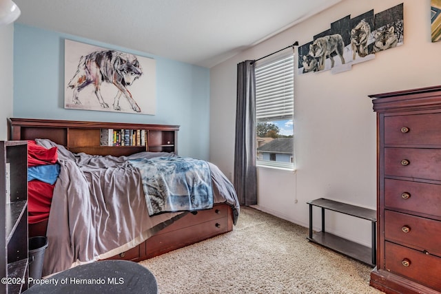 view of carpeted bedroom