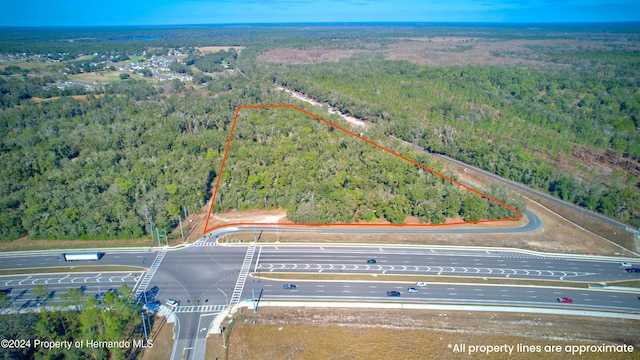 Listing photo 3 for 0 Croom Rital Rd, Brooksville FL 34602