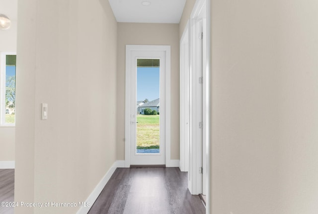 doorway featuring hardwood / wood-style flooring and a healthy amount of sunlight