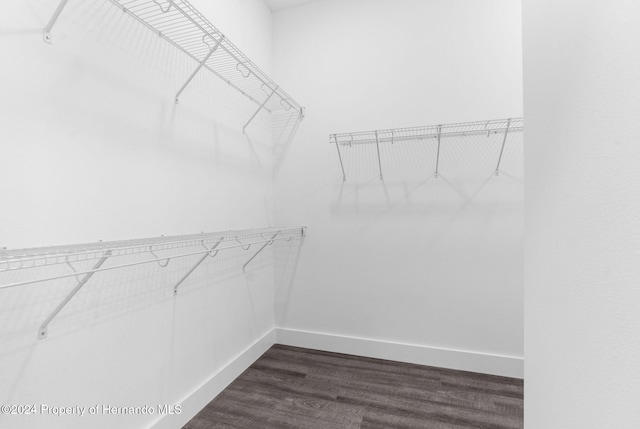 spacious closet featuring dark wood-type flooring