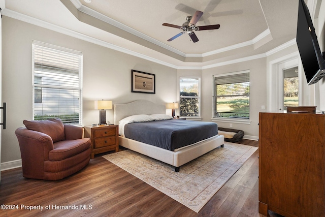 bedroom featuring wood-type flooring, a raised ceiling, and ceiling fan