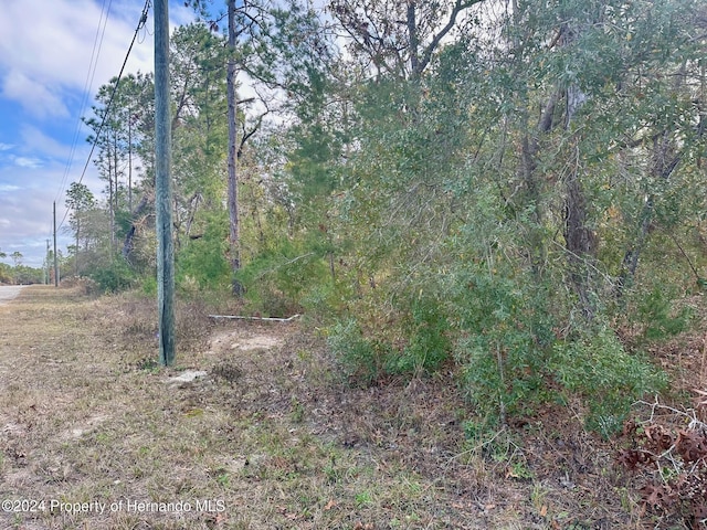 0 Potomac Ave, Brooksville FL, 34614 land for sale