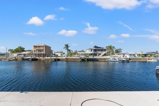 water view featuring a boat dock