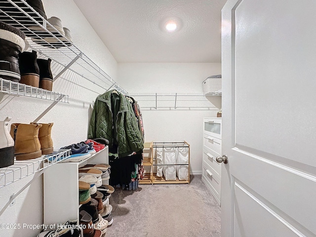 walk in closet featuring light carpet