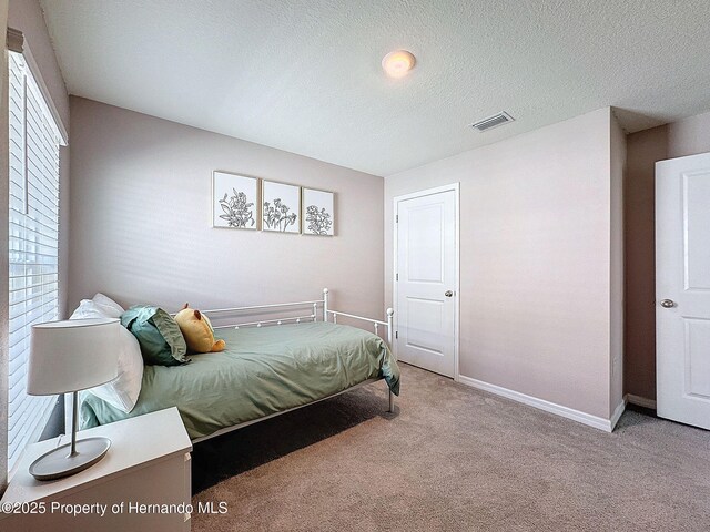 3337 Autumn Amber Dr, Spring Hill, FL 34609 - bedroom with carpet flooring and a textured ceiling