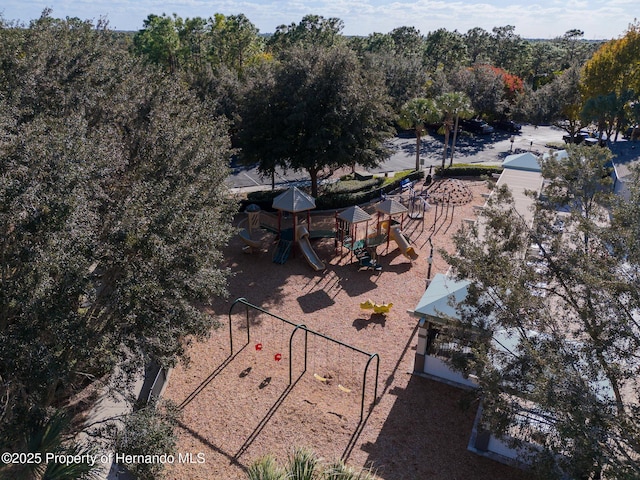 3337 Autumn Amber Dr, Spring Hill, FL 34609 - drone / aerial view