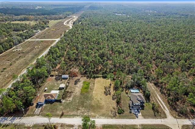 13410 Potomac Ave, Weeki Wachee FL, 34614 land for sale