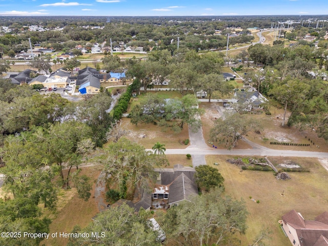 37351 Neighbors Path, Zephyrhills, FL 33542 - aerial view