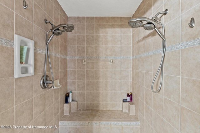 37351 Neighbors Path, Zephyrhills, FL 33542 - bathroom with tiled shower