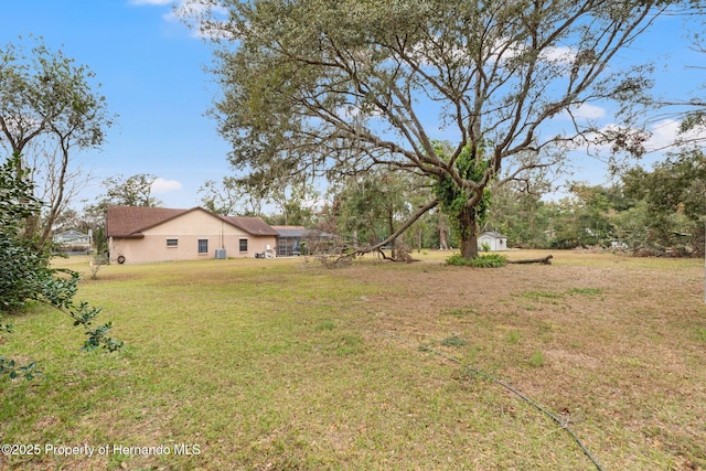 37351 Neighbors Path, Zephyrhills, FL 33542 - view of yard with a storage shed