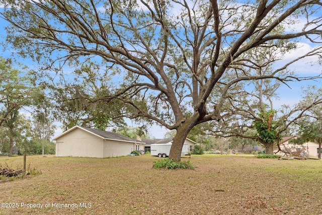 37351 Neighbors Path, Zephyrhills, FL 33542 - view of yard