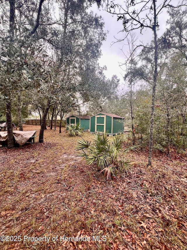 view of yard with a storage shed