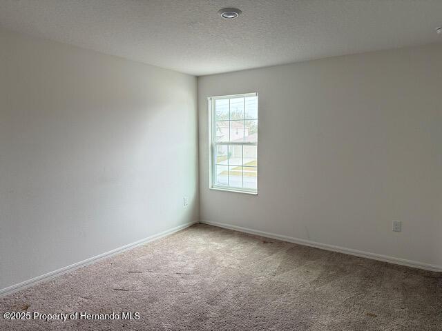 empty room with carpet flooring and a textured ceiling