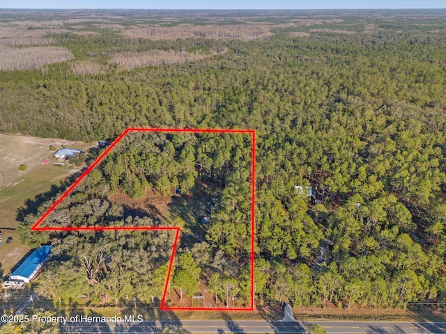 0 Burwell Rd, Webster FL, 33597 land for sale