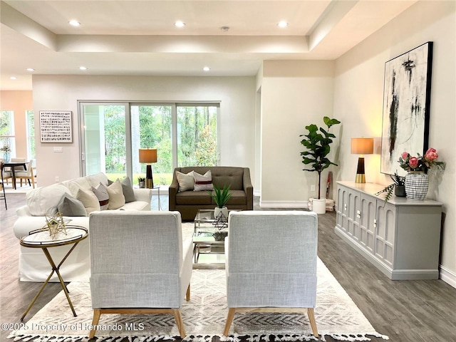 living room with a raised ceiling and hardwood / wood-style flooring