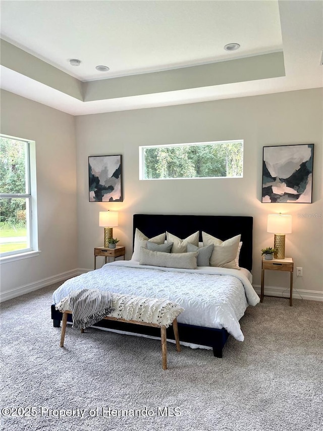 carpeted bedroom featuring a tray ceiling