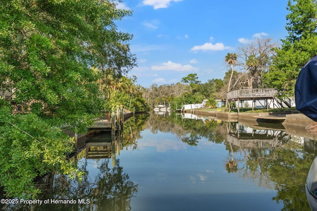 water view featuring a dock