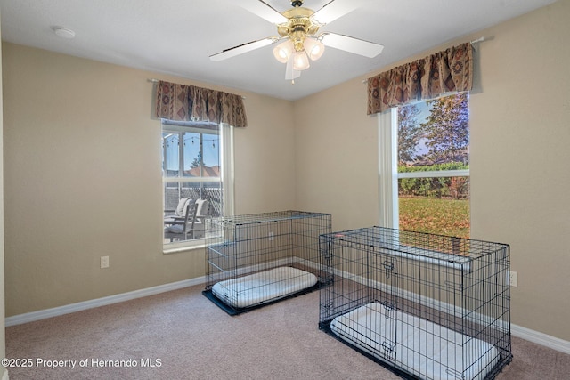 miscellaneous room with ceiling fan, carpet, and plenty of natural light