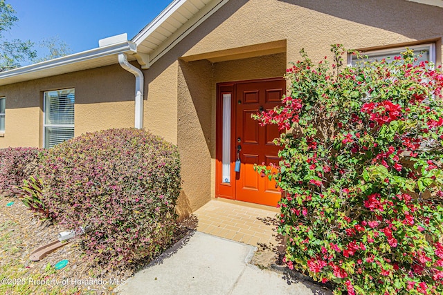 doorway to property with stucco siding