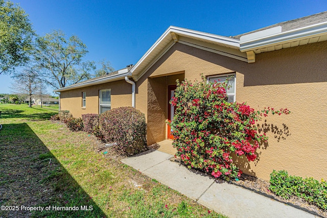 doorway to property featuring a yard and stucco siding