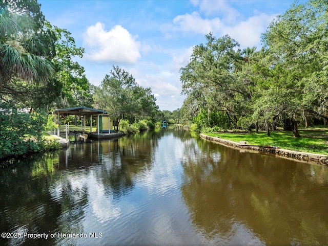 water view featuring a dock