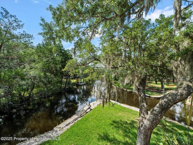 view of yard with a water view