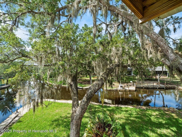 dock area featuring a yard and a water view