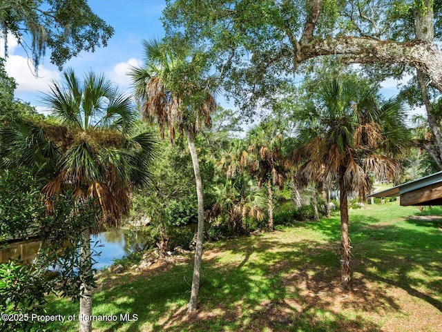 view of yard with a water view