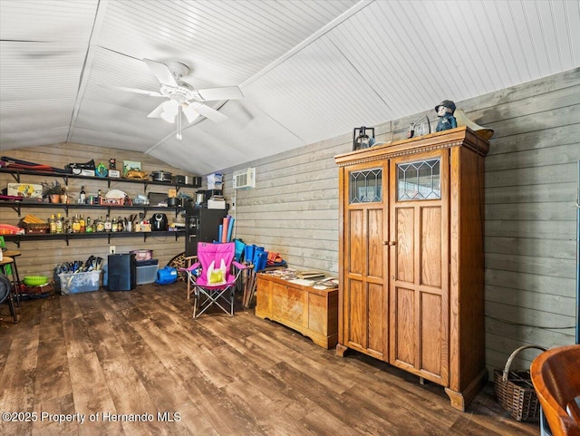 storage room featuring ceiling fan