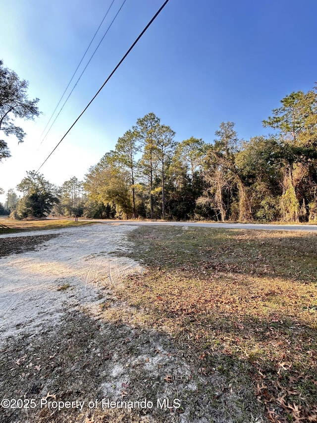 Listing photo 3 for 0 Richbarn Rd, Brooksville FL 34601