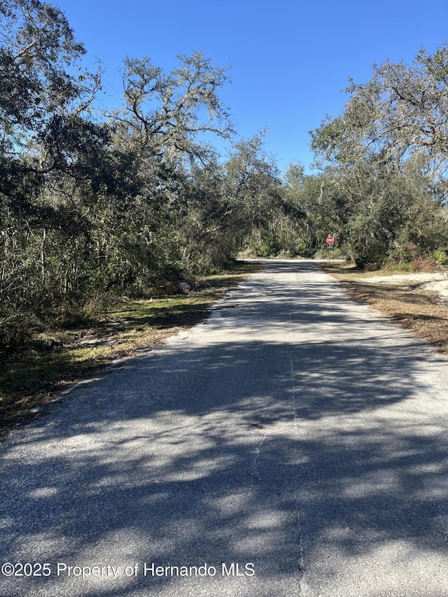 0 Excalibur Rd, Webster, FL 33597