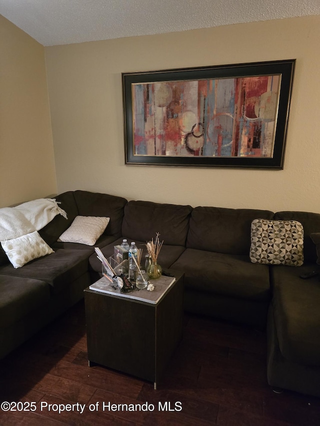 living room featuring dark hardwood / wood-style flooring