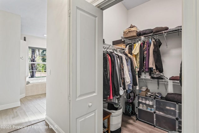 walk in closet with hardwood / wood-style floors