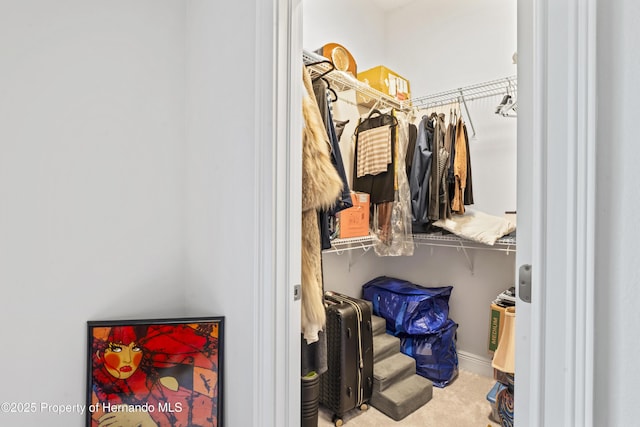 spacious closet featuring light colored carpet