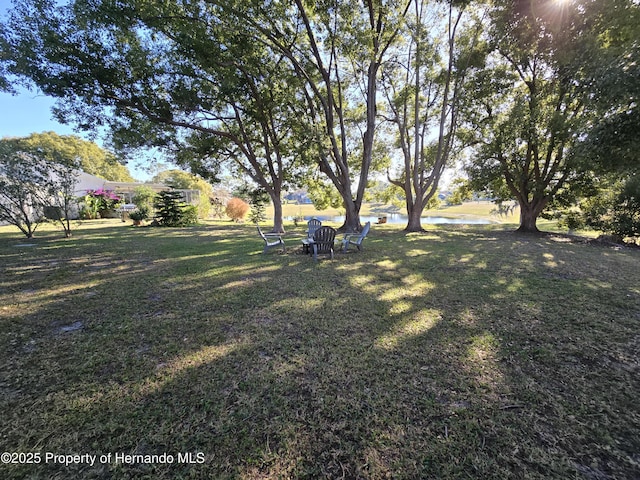 view of yard