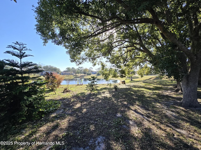 view of yard with a water view