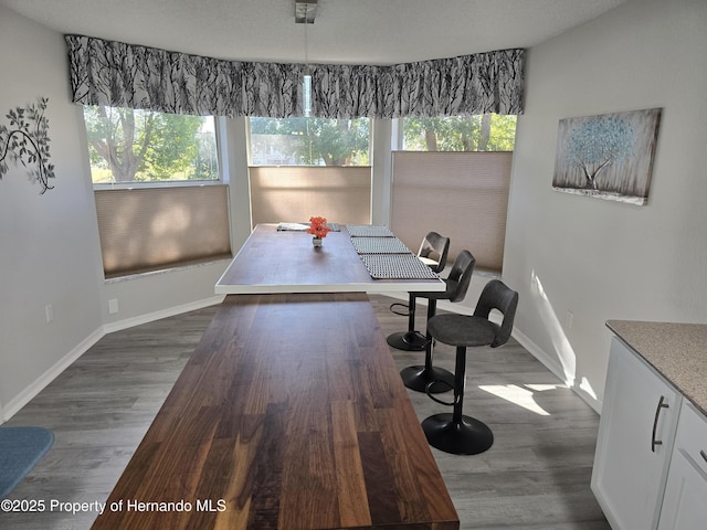 dining space featuring dark hardwood / wood-style floors and a healthy amount of sunlight