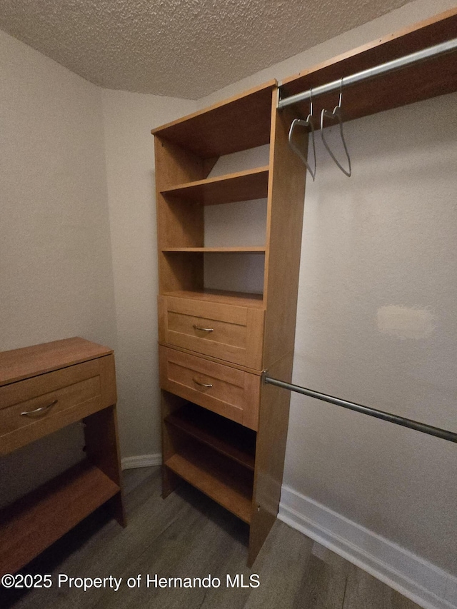 spacious closet with dark wood-type flooring