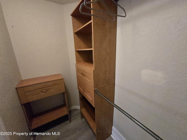 spacious closet with dark wood-type flooring