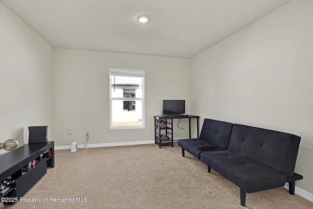 living area featuring carpet flooring