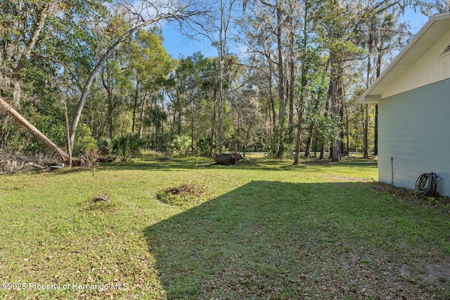 view of yard