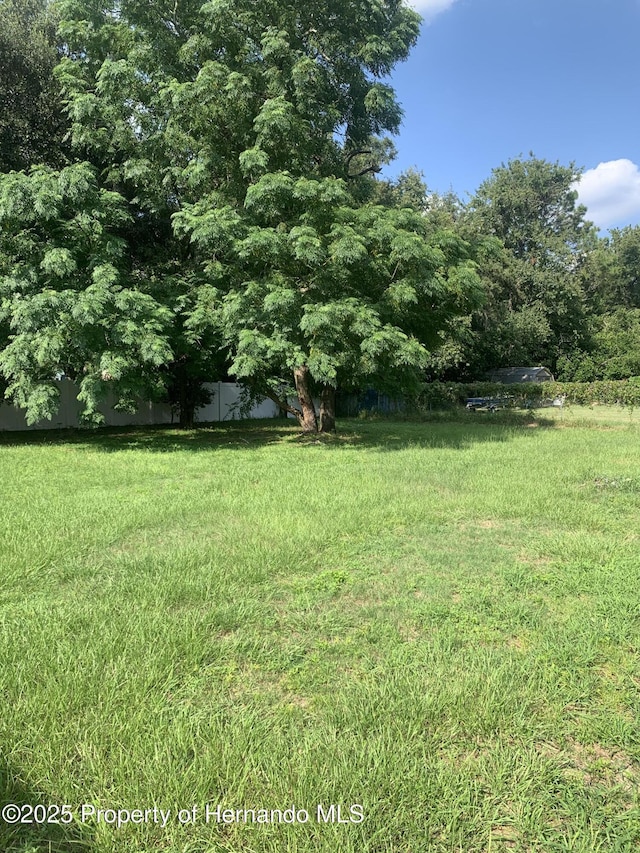 27319 Dale Ave, Brooksville, FL 34602 - photo 18