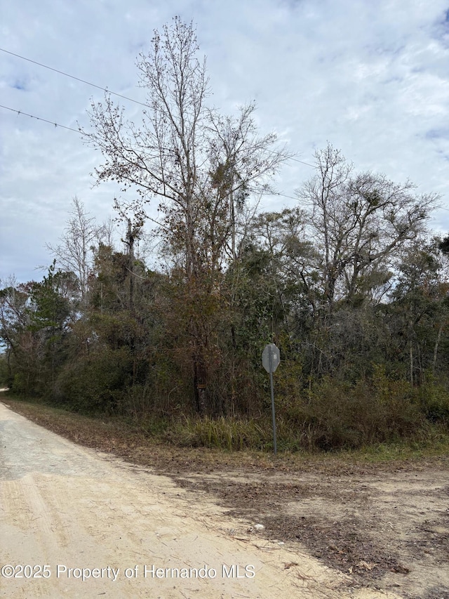 Listing photo 2 for LOT1 Carolina Dove Rd, Weeki Wachee FL 34614