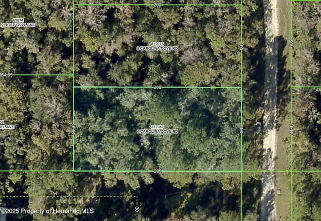 LOT3 Carolina Dove Rd, Weeki Wachee FL, 34614 land for sale