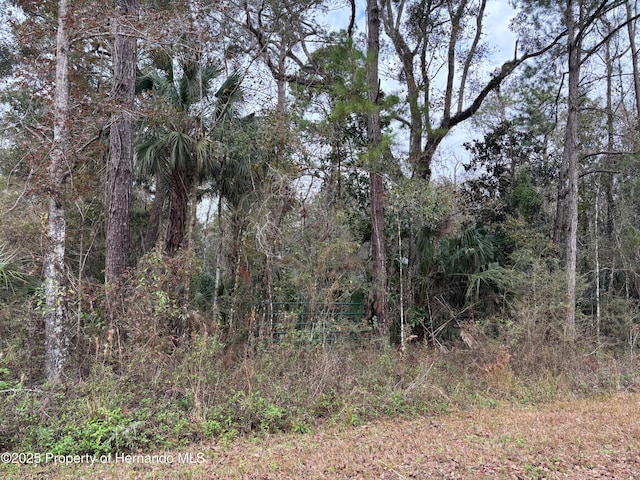 Listing photo 3 for LOT3 Carolina Dove Rd, Weeki Wachee FL 34614