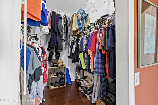 walk in closet with wood-type flooring