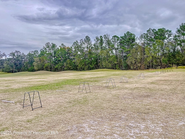4413 Caliquen Dr, Brooksville, FL 34604 - photo 50