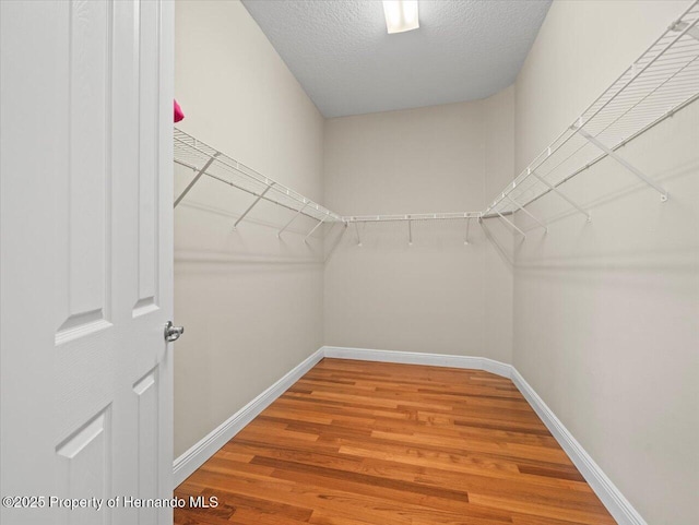 spacious closet featuring hardwood / wood-style floors