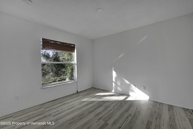 spare room with light hardwood / wood-style floors